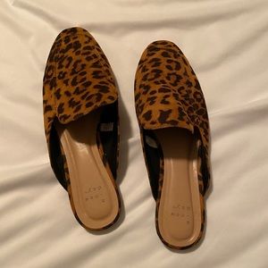 Cheetah mules